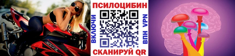 Галлюциногенные грибы Psilocybine cubensis  Купить где  Петухово 